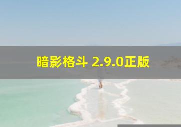 暗影格斗 2.9.0正版